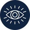 vision vision