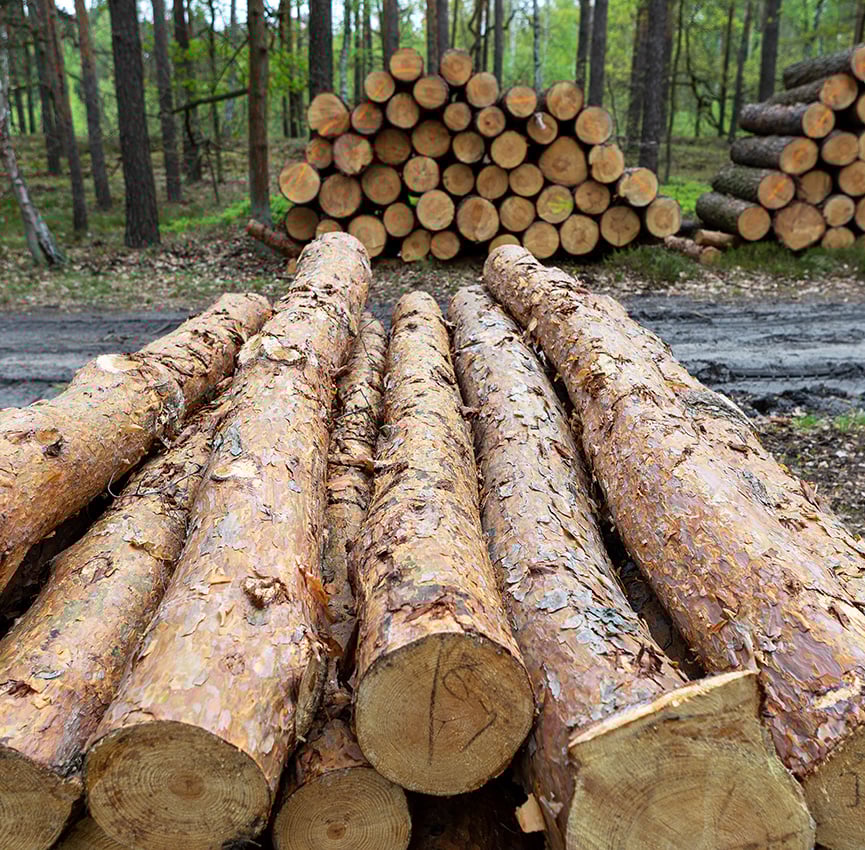 Forestry vertical -865x850