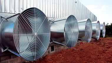 Poultry barn fans 380x205